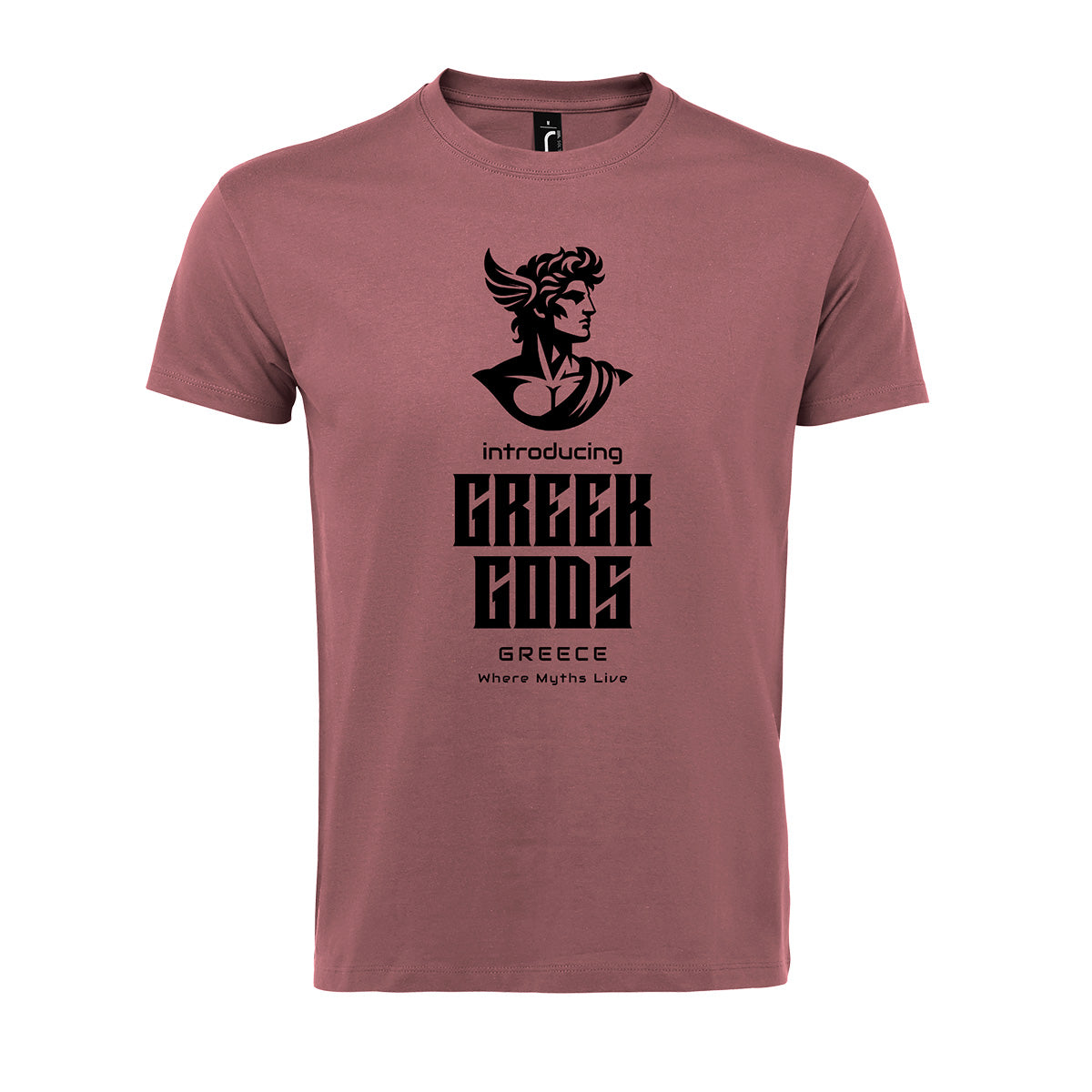 Introducing Greek Gods T-shirt